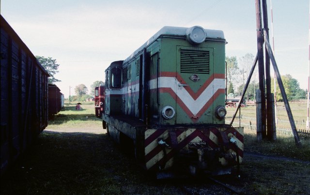 Rogw Wsk., padziernik 1997, foto Geoff Jenkins